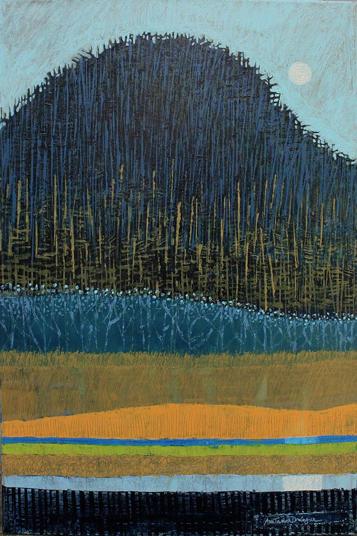 In the Hillside Shadow by Ann Trainor Domingue